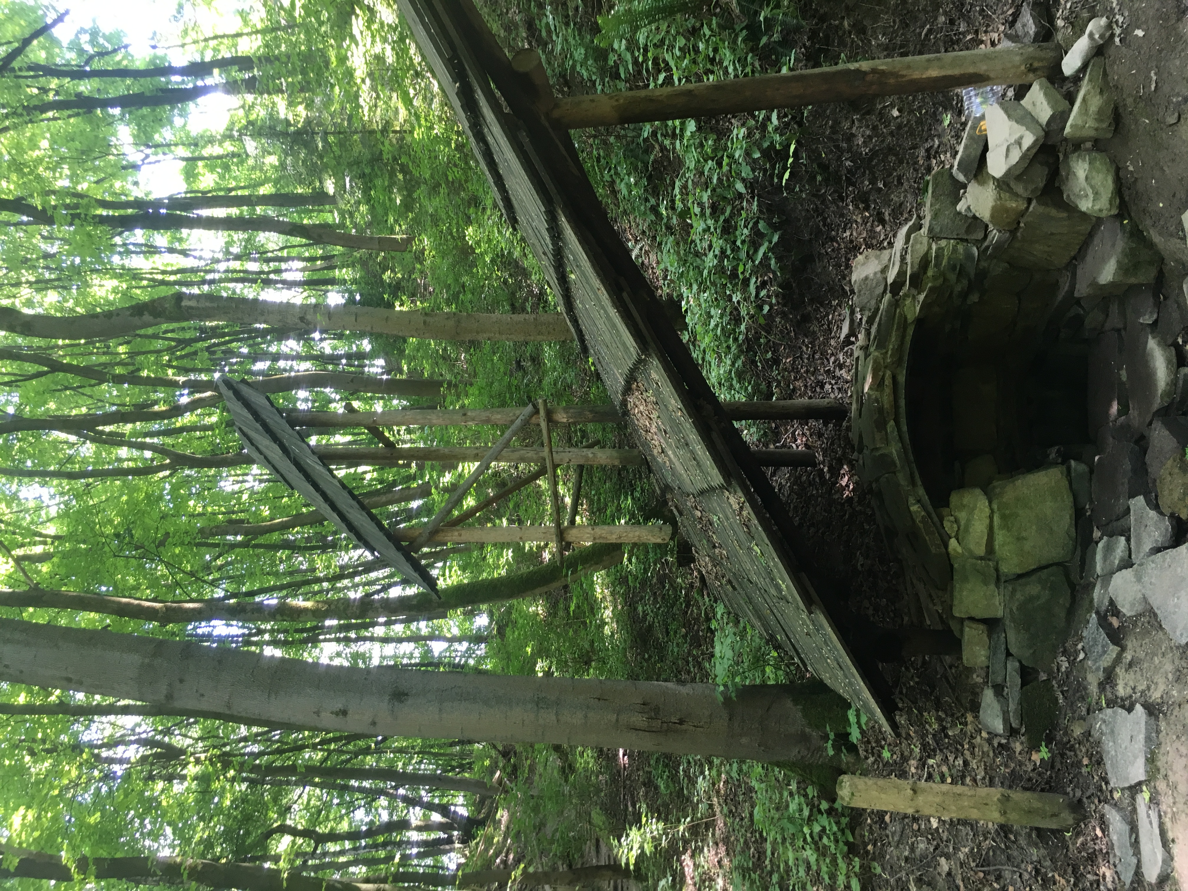 Stream at Shevchenkivskyi Hai Park